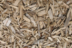 biomass boilers Tresean
