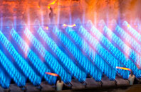 Tresean gas fired boilers